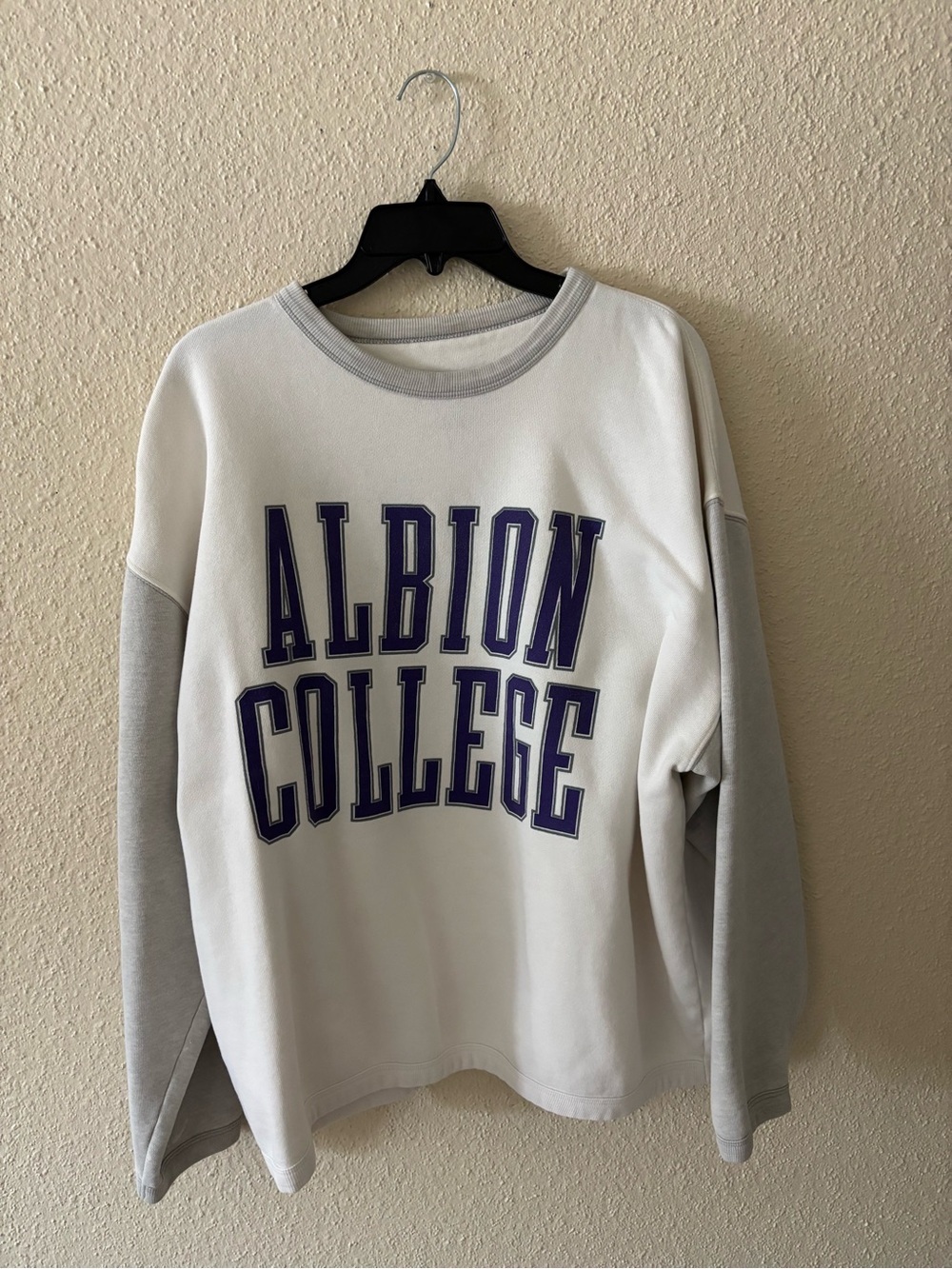 Vintage Albion College Football Style Crewneck Sweatshirt 90s NFL Shirt Tee L